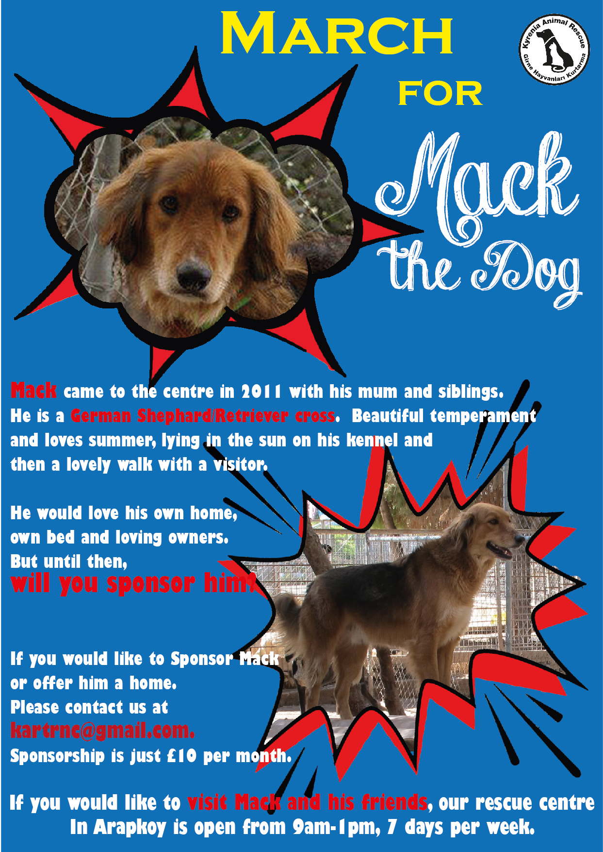 MarchDog – Kyrenia Animal Rescue (KAR) MarchDog – Kyrenia Animal Rescue (KAR)